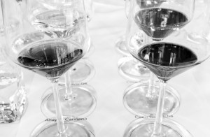 Day 2- Pouring Garnacha at Bodega Paniza