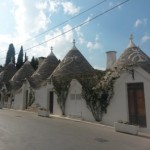 Foto Pam TENUTA MONACELLE (28)