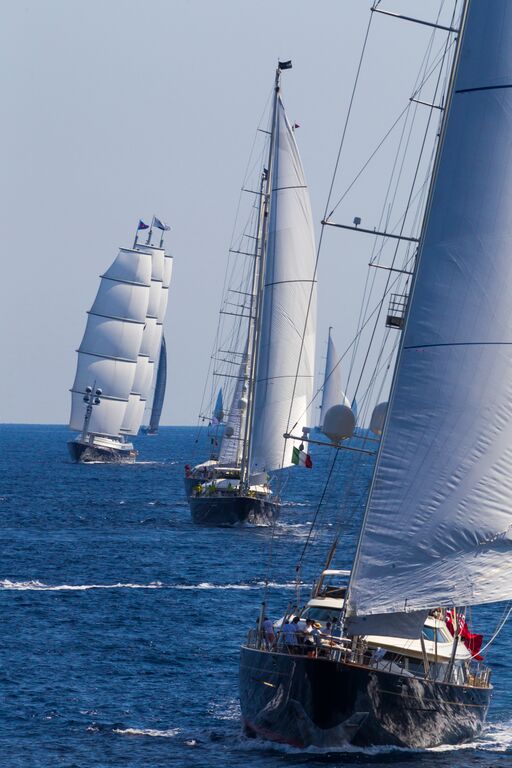 perini navi cup