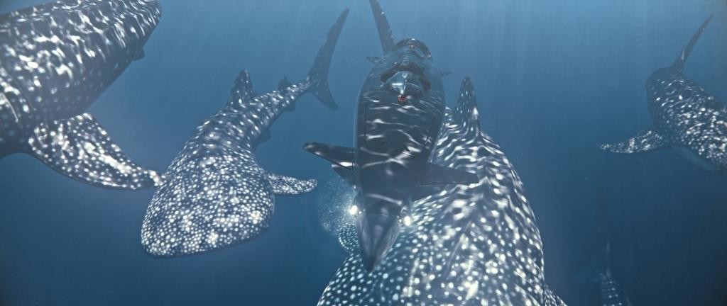 mk1c_sharks_4k