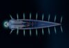 Ocean Giant Unveiled: Royal Huisman Shares Defining Details of 85m Project 410